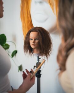 Online Brejdaonica edukacija